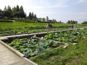 花蓮園