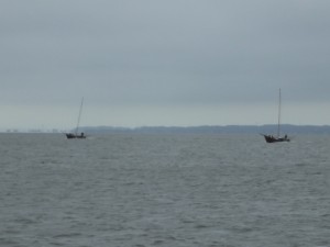 IMGP0589
