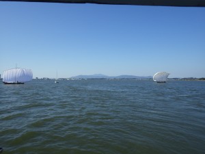 IMGP0881