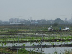 IMGP1714