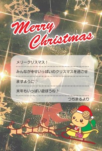 クリスマスカード　つちまる