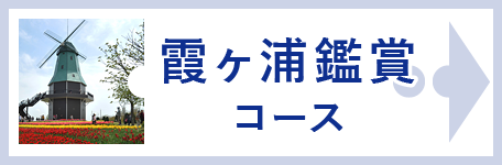 霞ヶ浦鑑賞コース