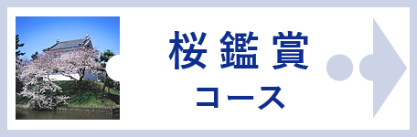 桜鑑賞コース