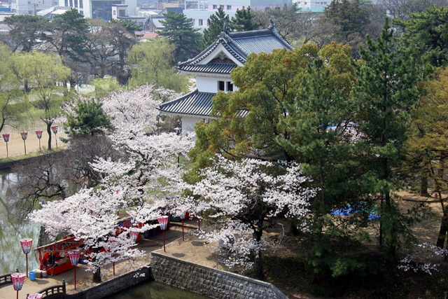 土浦桜まつり