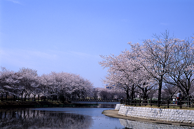 乙戸沼公園