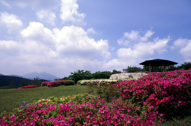 朝日峠展望公園