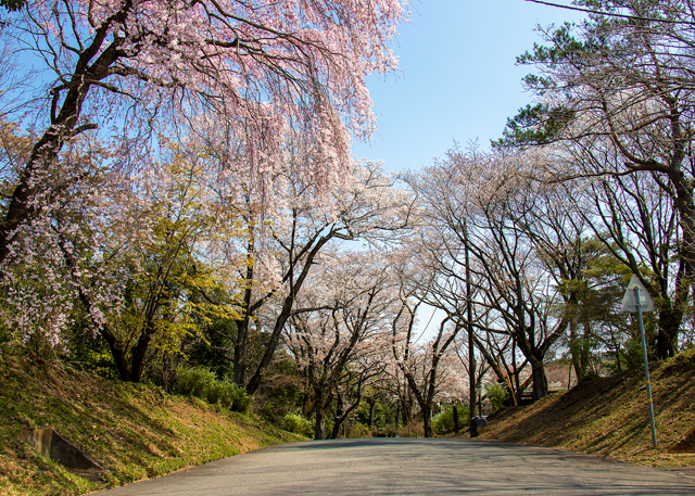 竜ヶ峰