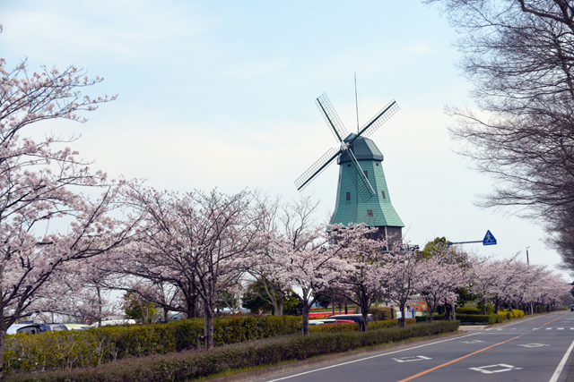 霞ヶ浦総合公園